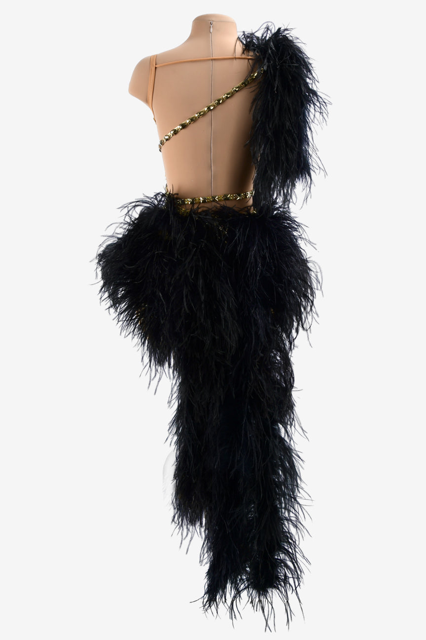Permino gold dot shine lycra Latin dress with stone fringes, black feathesr, mirror stones & crystals