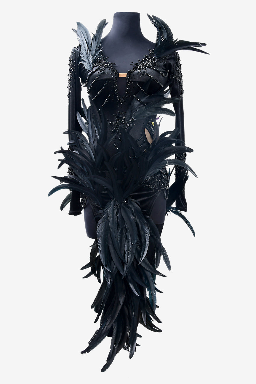 Permino black stretch velvet Latin dress with mesh sleeves, beadings, feathers, crystals & sew-on stones