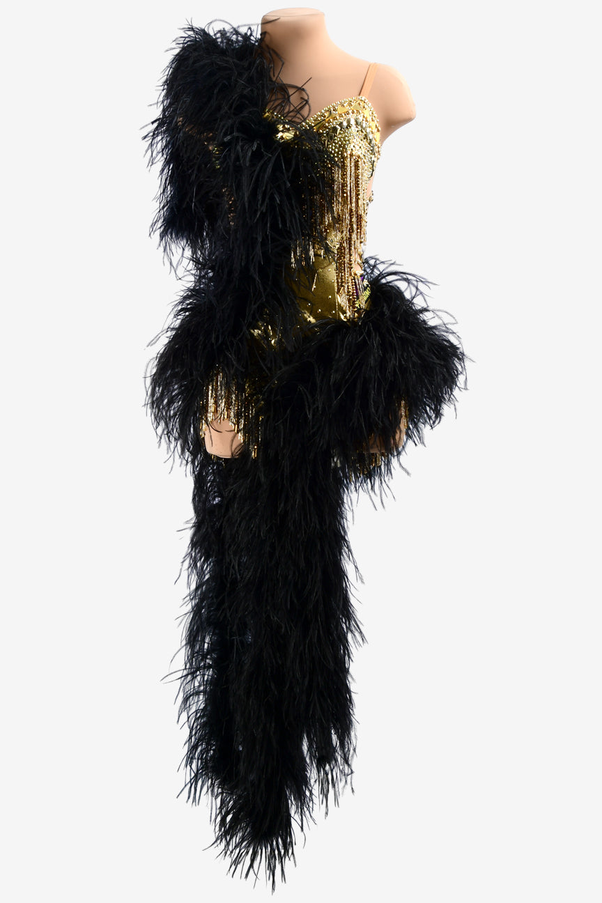Permino gold dot shine lycra Latin dress with stone fringes, black feathesr,  mirror stones & crystals