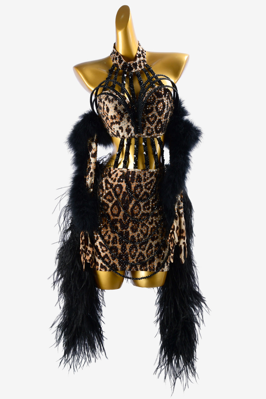 Permino leopard print Latin dress with feather and crystal AB