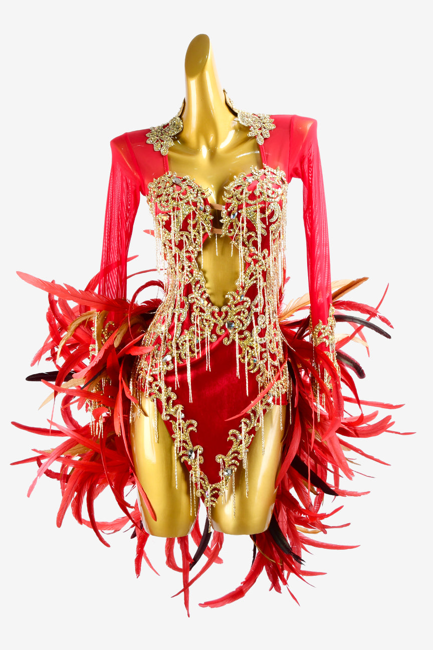 Permino crimson mesh Latin dress with lace appliqués, feathers, gold beaded fringes & crystal AB